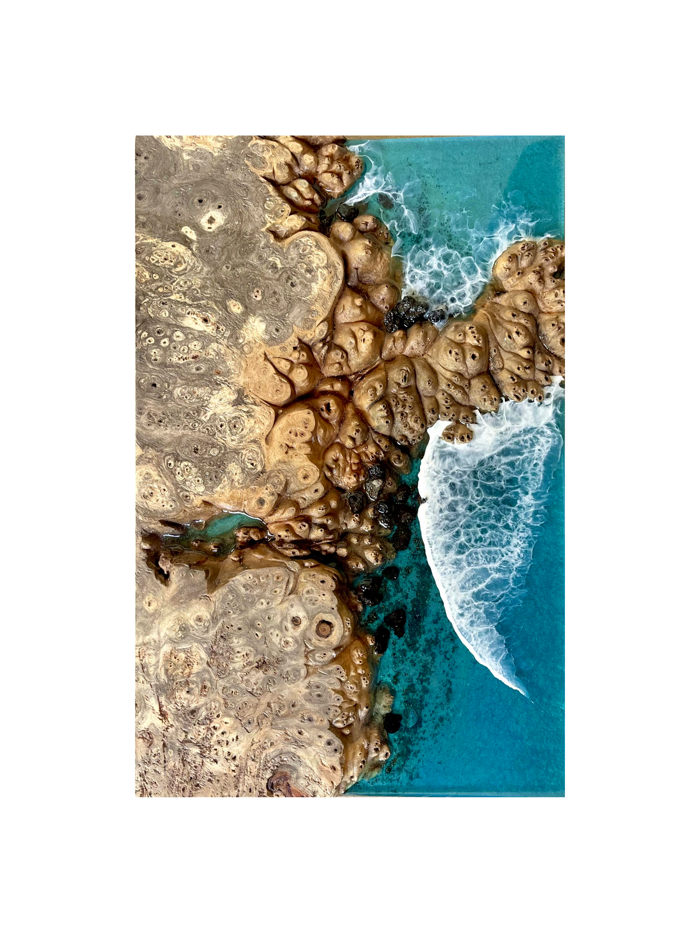 Burl + Ocean Foam - natural burl and pigmented epoxy wall art